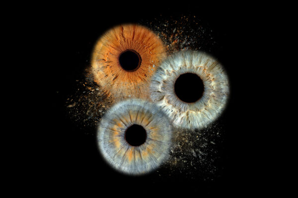 Website Iris-Fotografie Heilbronn | Dein Augen-Blick – 74245 Löwenstein